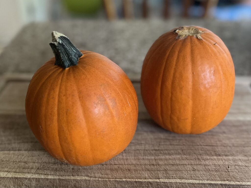Two pie pumpkins