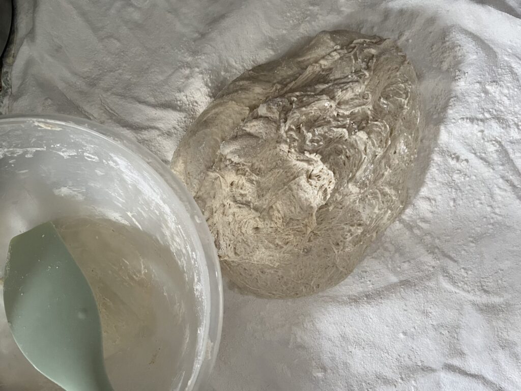 Bread dough sits on a floured tea towel, near an empty bowl and a spatula.