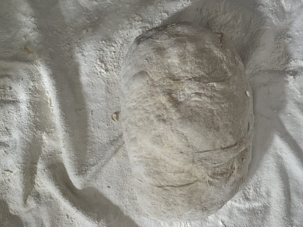 A loaf of bread dough sits on a floured tea towel.