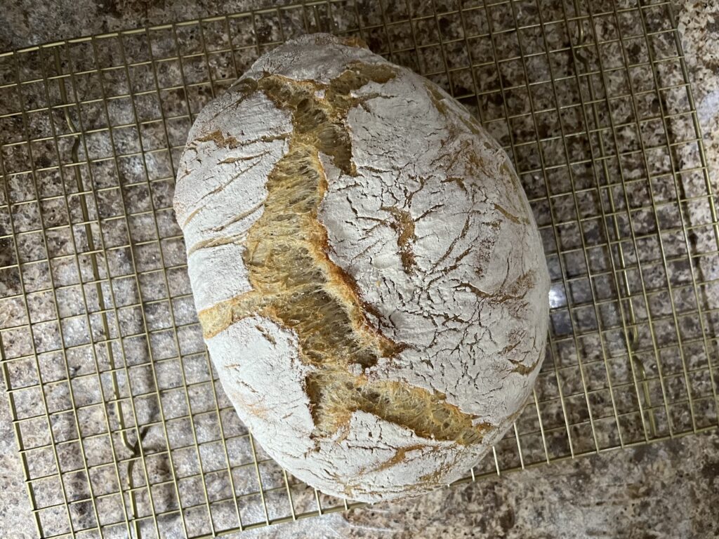 A freshly baked loaf of crusty bread sits on a cooling rack.