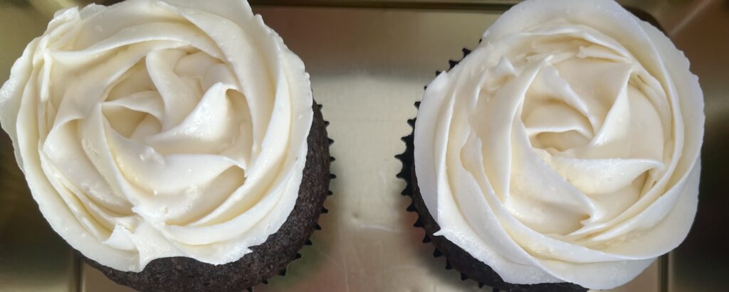 Two chocolate cupcakes, frosted with big white icing roses.